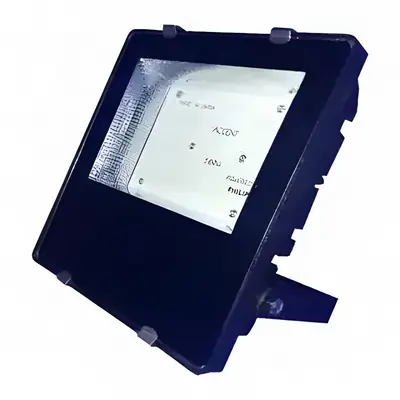 Accent LED Flood Light Downchoke – LED flood light