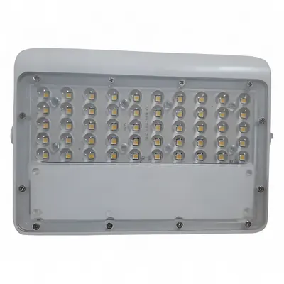 GloLED LED Lens Flood Light – LED flood light